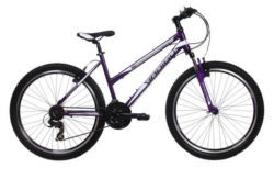 Indigo Mystic 17.5 inch Mountain Bike - Ladie's